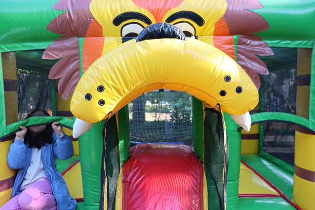 You are currently viewing Buntes Treiben in der “Villa Holz” beim Kulturenfest